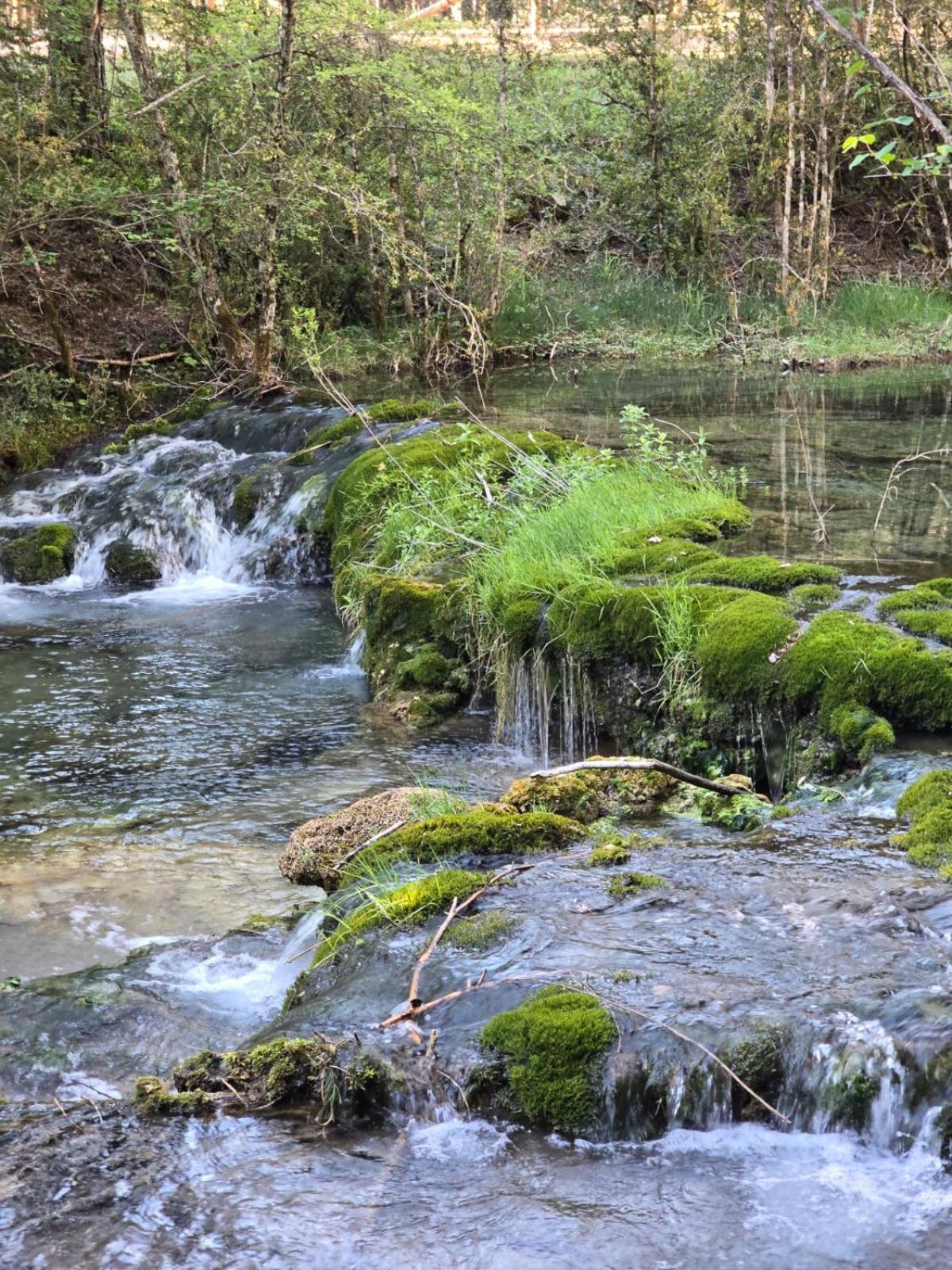 Hostal Rural Alto Tajo Poveda Poveda de la Sierra Екстериор снимка