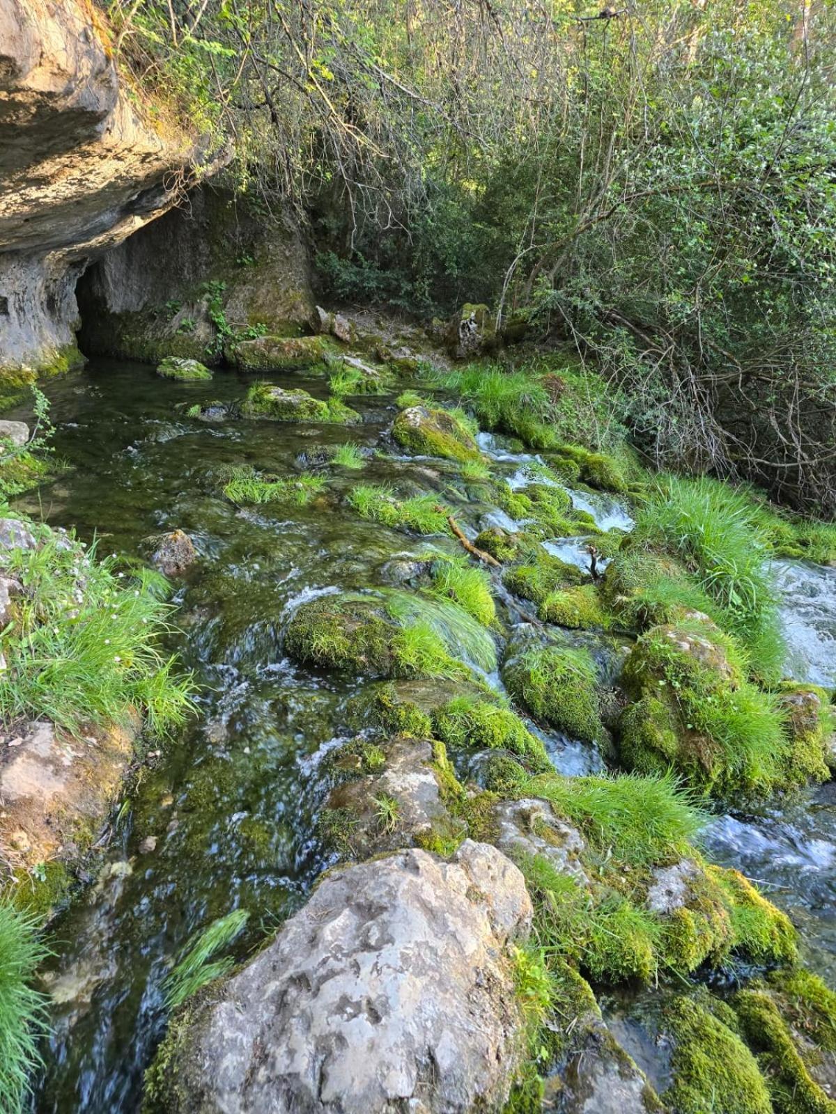Hostal Rural Alto Tajo Poveda Poveda de la Sierra Екстериор снимка